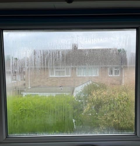 View from Misted Double Glazing Window