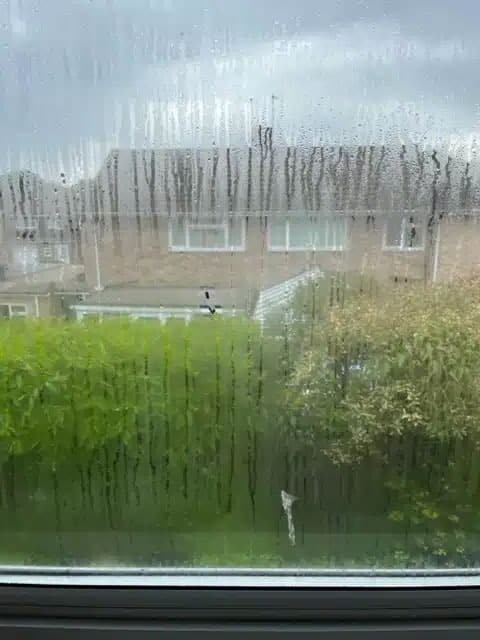 double-glazing-services